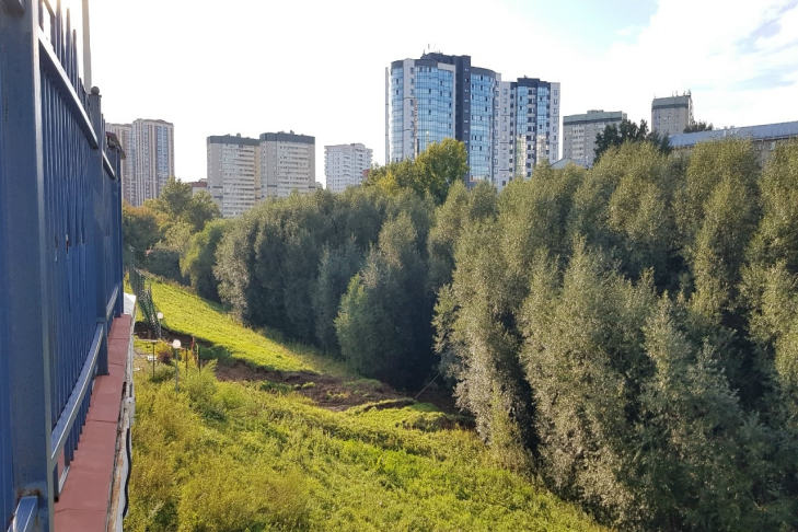 Фото предоставлено Дарьей Друщенко