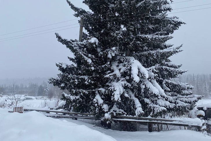 Зима деревня Дарья Ущенко 2.jpg