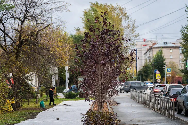 Фото Андрея Заржецкого