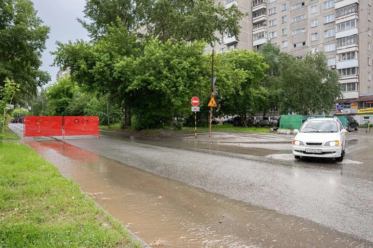 Фото VN.ru кот1.jpg