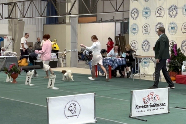 Фото VN.ru IEbLGu5dvKMNYJboKb4we6vC5zi1rHLWgGPjpP-W1KUawZNpO_dtxKnVxEdBhT9xtbU49VZgsi218_LhdOntL2mg.jpg