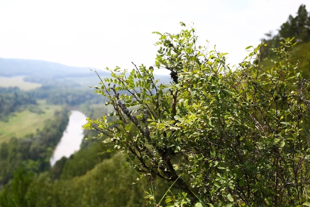 Фото VN.ru 112.jpg