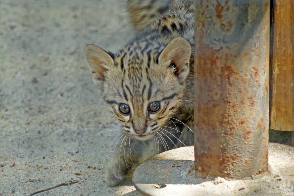 IMG_20230604_111326_949 (1).jpg