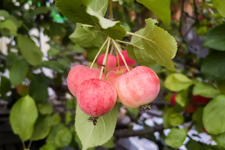 Фото Андрея Заржецкого Фото Андрея Заржецкого