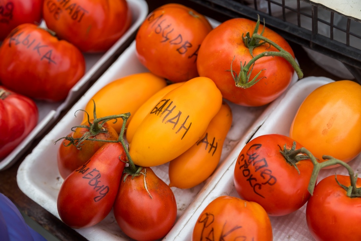 Фото Андрея Заржецкого