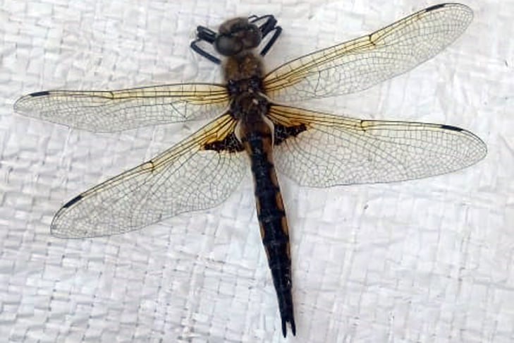 Фото VN.ru photo_2025-07-29_12-14-13.jpg