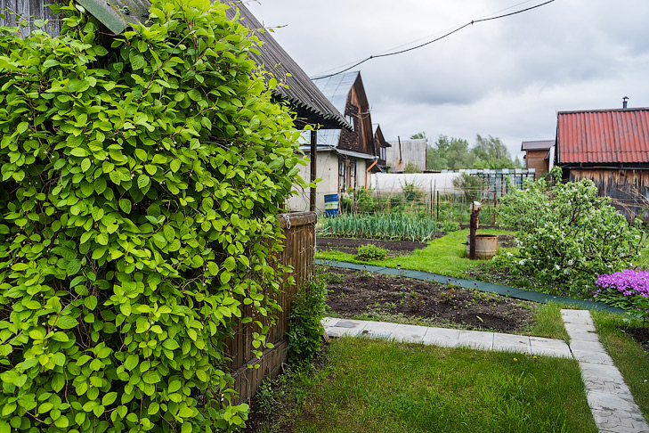 Фото Андрея Заржецкого