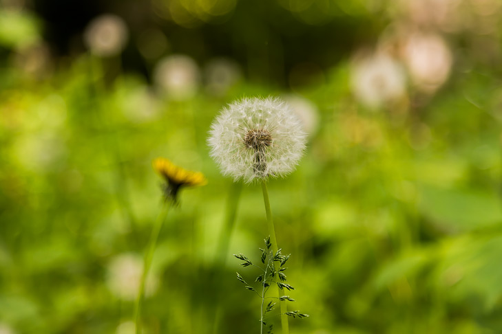 Фото Андрея Заржецкого