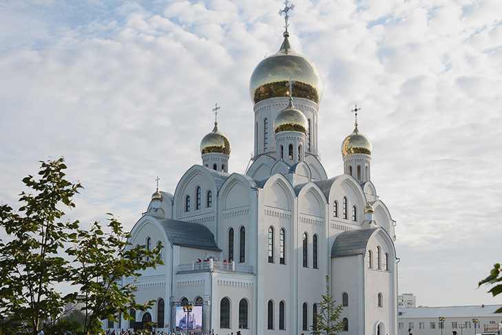 Новосибирский Троице-Владимирский собор.jpg