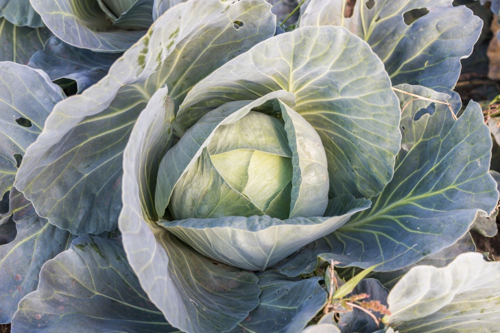 Фото Андрея Заржецкого Фото Андрея Заржецкого