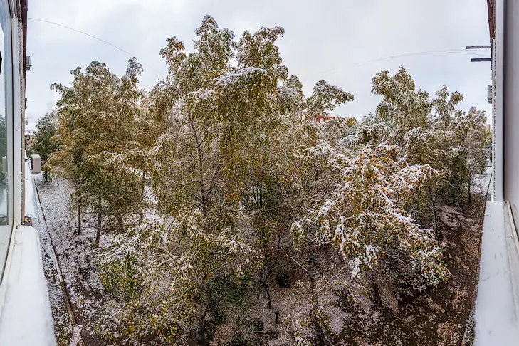 2025-10-05_ЗаржецкийА_0001 Panorama-.webp