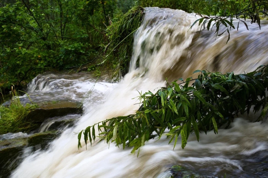 Фото VN.ru 414.jpg