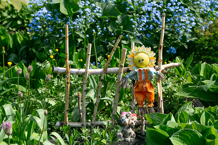 TAN_7379 дача природа.jpg