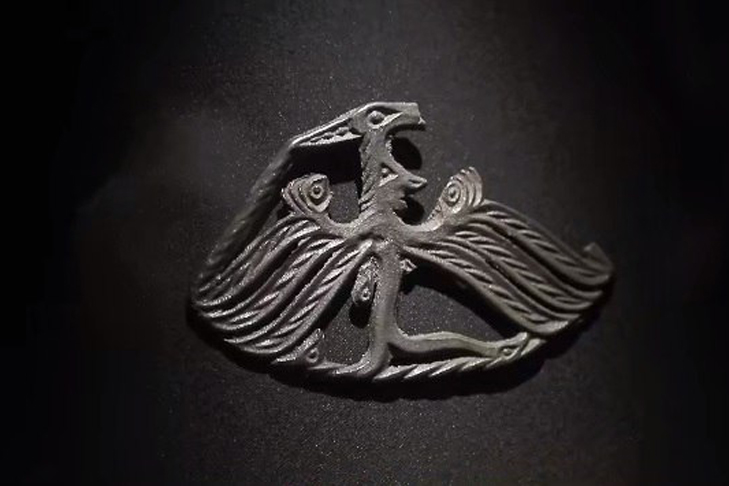 Фото VN.ru птичелось.jpg