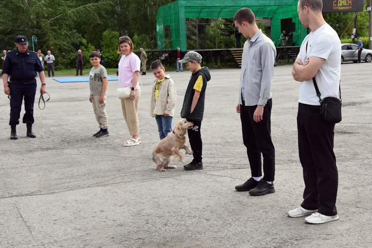 Фото VN.ru IMG_20260528_142254.png