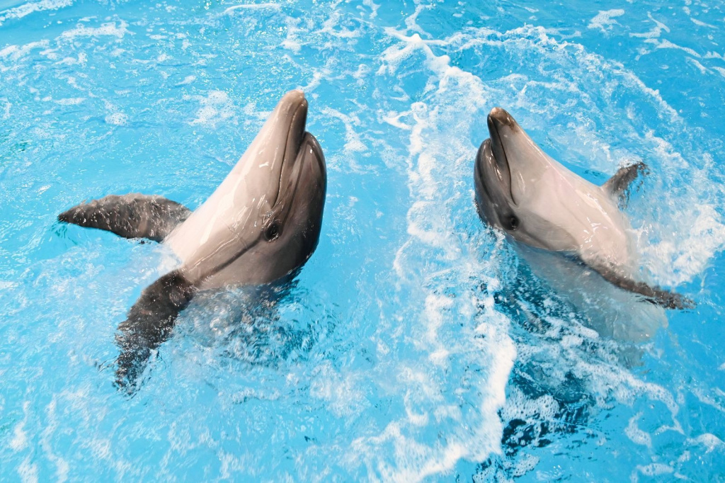 4b403bda-0a38-4183-a2cd-44fc6c0a6a1d.jpg 4b403bda-0a38-4183-a2cd-44fc6c0a6a1d.jpg