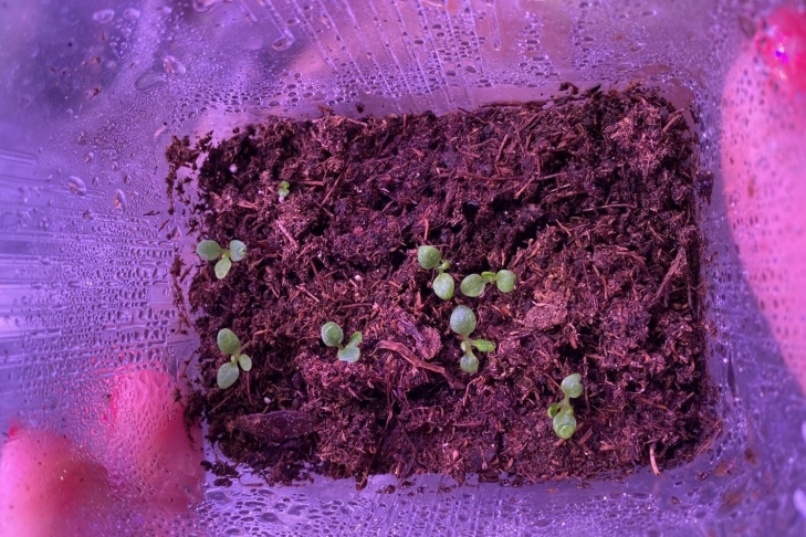 Фото Натальи Литвин Фото Натальи Литвин