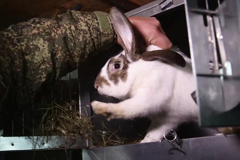 Фото VN.ru IacGeONcaQeQS6J4Bzq3P4AGF7KmbKWnGBASHnV-QnHPHOf_h73gH19ODT9k6Zp--PyEACQG3cG-9nC6KN_zTf9a.jpg