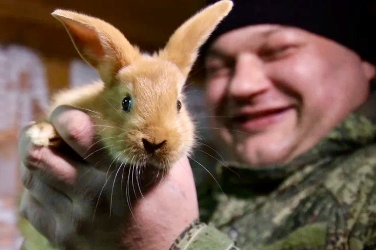 Фото VN.ru rovlQBP8nR3pFIFTklYyNRjg2sdtYOv17_YKL3n_ulKE8VGQzD8FmWLvUkz9lsaXkrim1HMv1MaAl5PVLq4_chZN.jpg