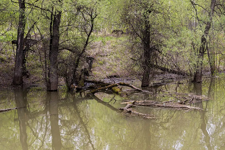 2026-05-13_ЗаржецкийА_0121.webp