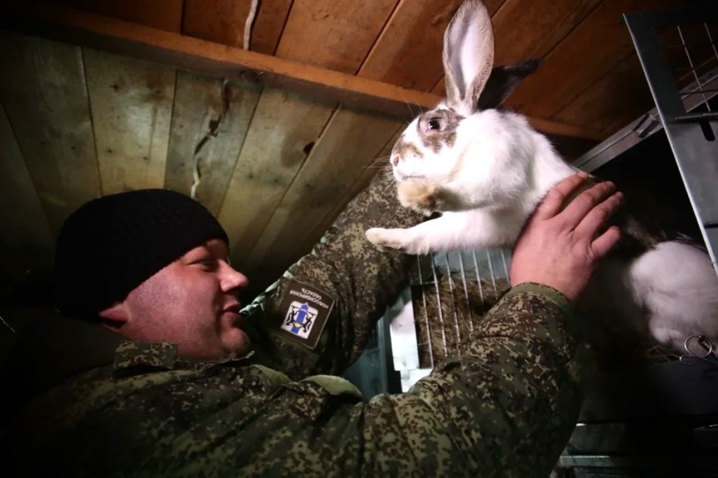 Фото VN.ru cIpHuvND_hY5eCTaNGd0Ik-jTnDvE4uZ9-6-HUXCc6d8YkrHP5kT9DI7-oe9PEmJ6xiPCzKvmRHbi6lexOUyc3jx.jpg