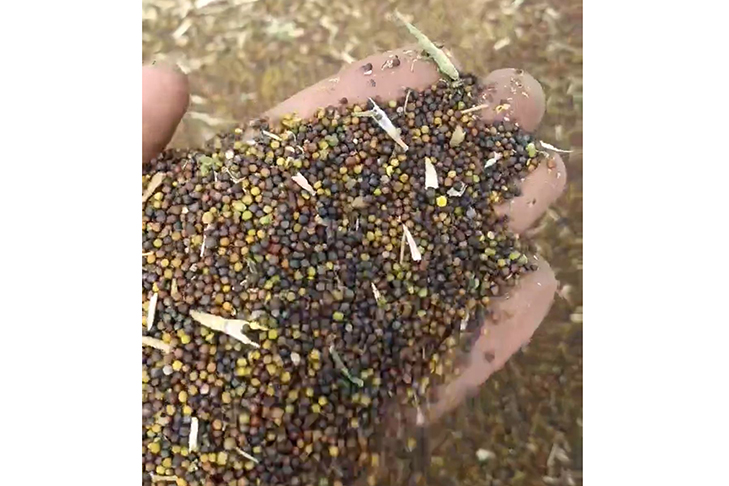 Фото VN.ru Screenshot_2026-09-28-10-15-06-269_ru.oneme.app.jpg