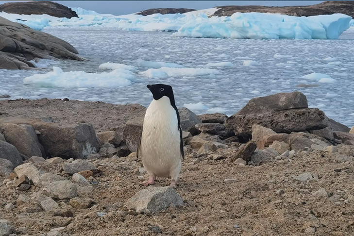 Opera Снимок_2026-02-25_141344_web.max.ru.png