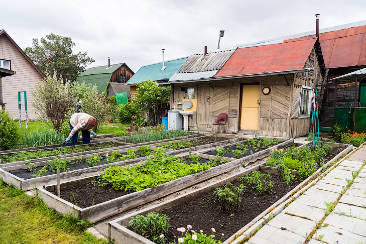 Фото Андрея Заржецкого Фото Андрея Заржецкого