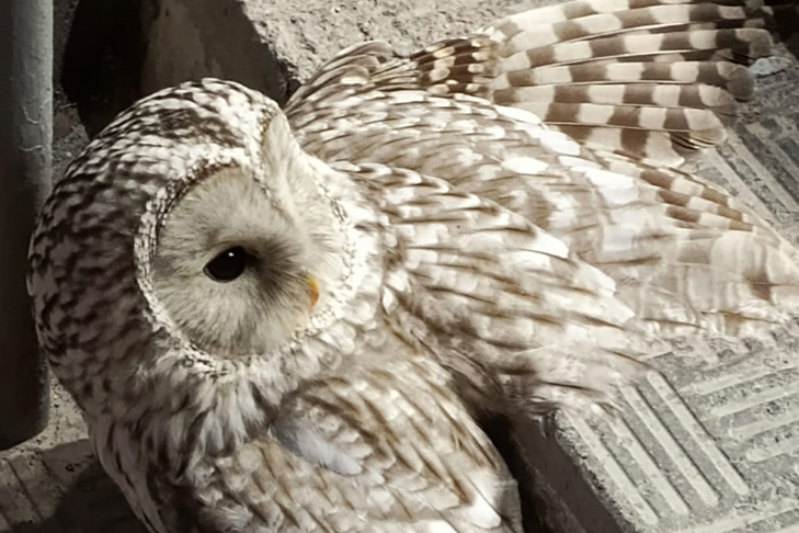 Фото VN.ru 6d7b6d0b-295a-4b6e-953c-eaab885718ca.jpg