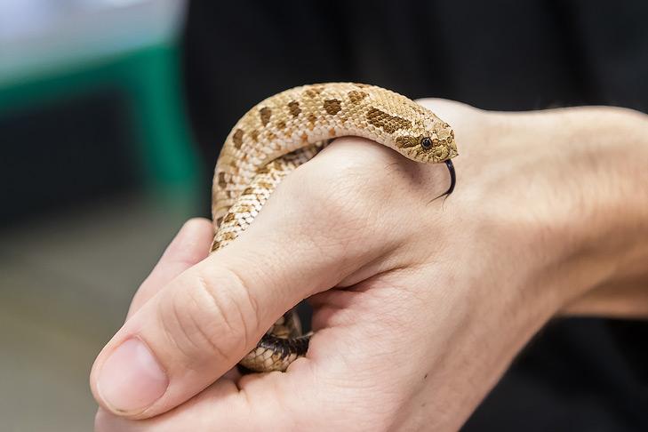 Фото VN.ru 2024-12-19_ЗаржецкийА_0076.jpg