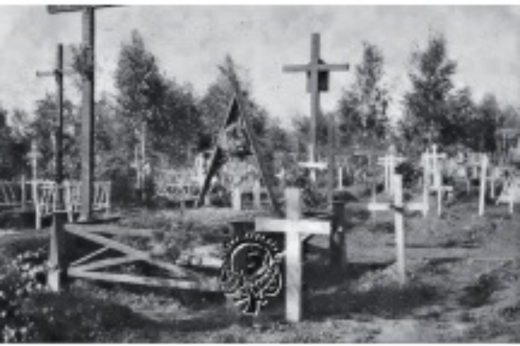 Скриншот с сайта «Зеленый Новосибирск»