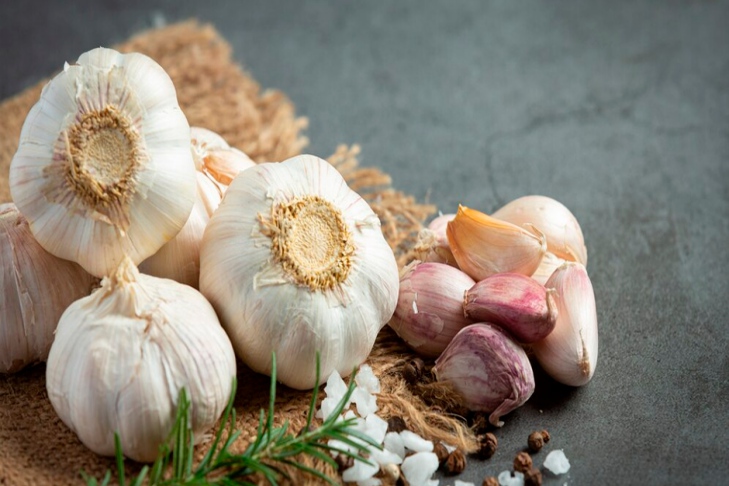 Фото ФГБУ «ЦОК АПК»