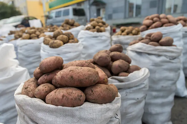 Фото Андрея Заржецкого Фото Андрея Заржецкого