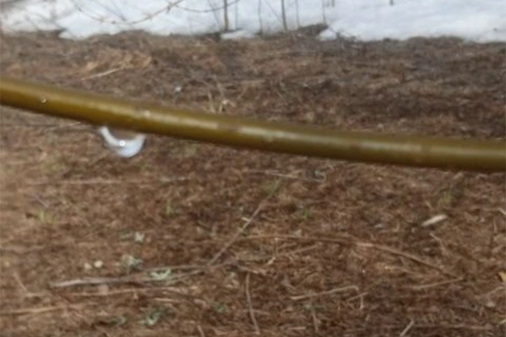 Фото VN.ru ecbac35c-14e4-4dbb-a562-a60d3c8e6b09.jpg