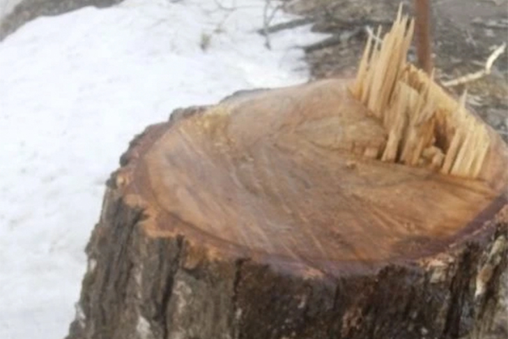 Фото VN.ru 09d322d6-6696-43c5-ac74-6556b1bd4499.jpg