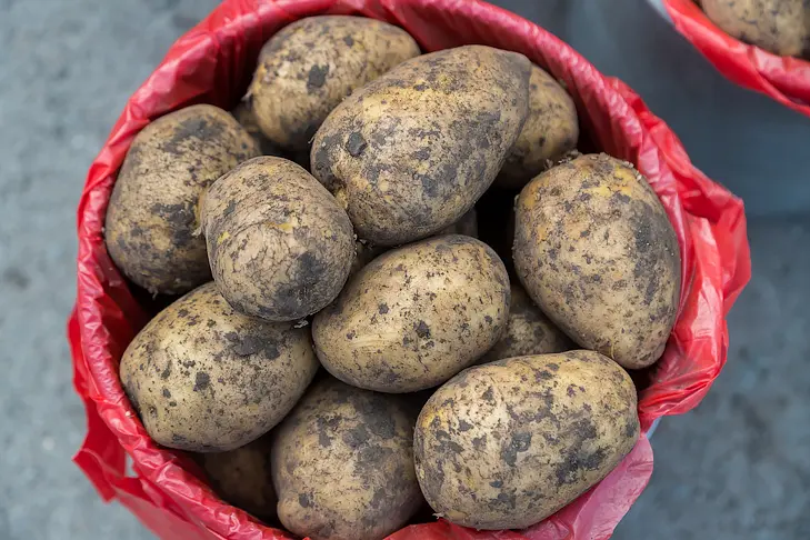 Фото Андрея Заржецкого Фото Андрея Заржецкого