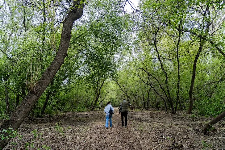 2026-05-13_ЗаржецкийА_0019.webp