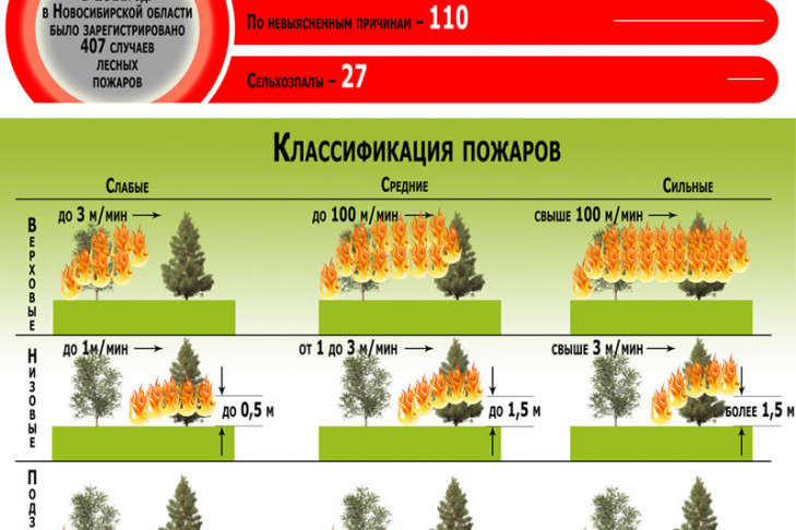 Как защитить лес от пожара