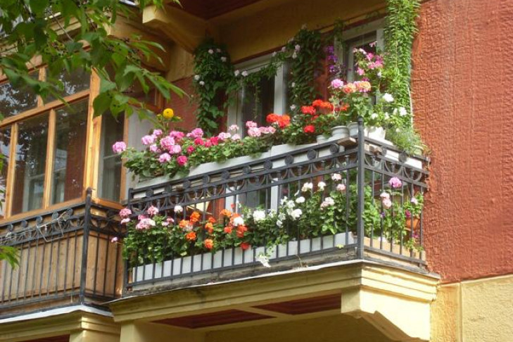 Лучший балкон – у Нелли Михайловны