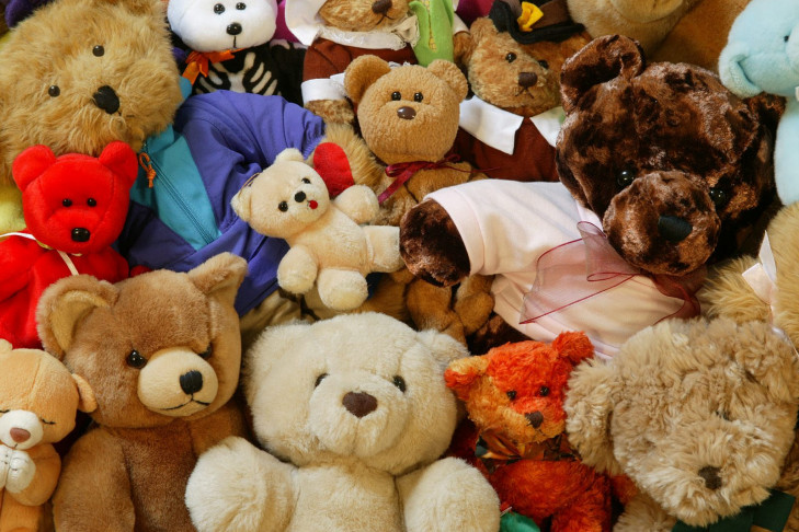 В Барабинске украдена коллекция плюшевых медведей