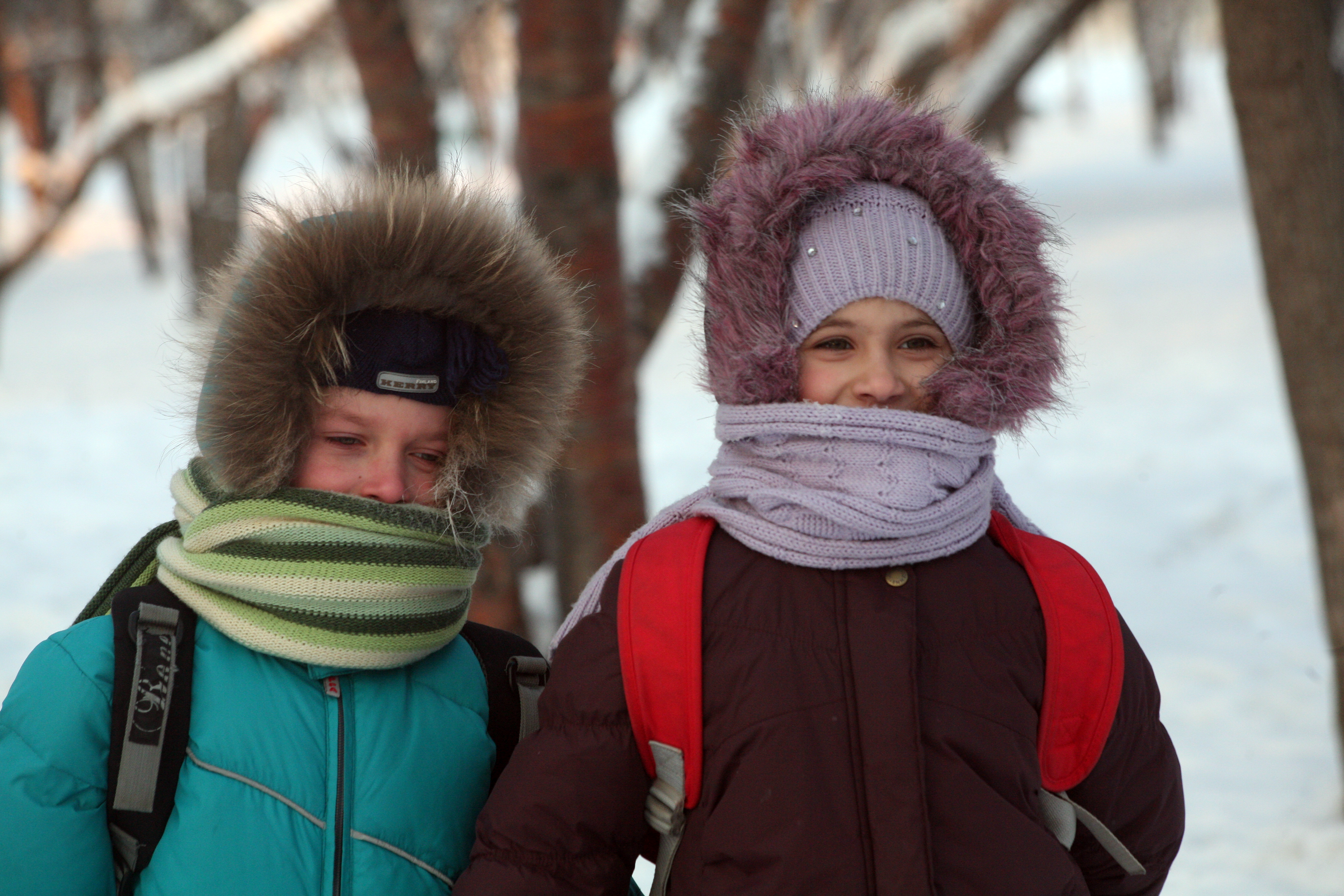 К Новосибирску приближаются морозы до минус 25 градусов