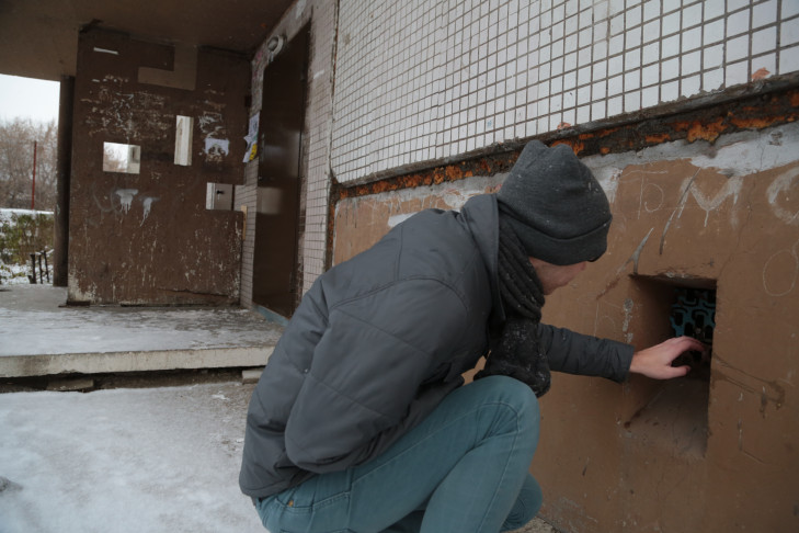 В Новосибирске бездомных кошек замуровали в подвале