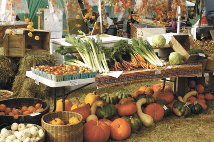 Осенняя ярмарка для садоводов и огородников