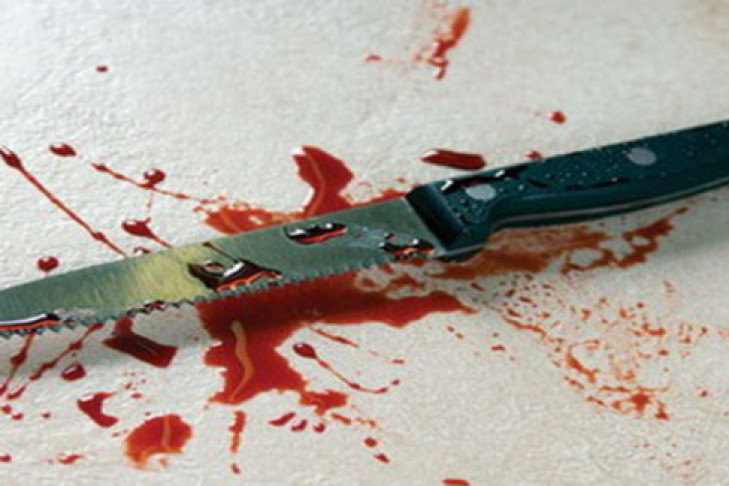 Жительница Бердска убила мужчину ударом ножа в ногу