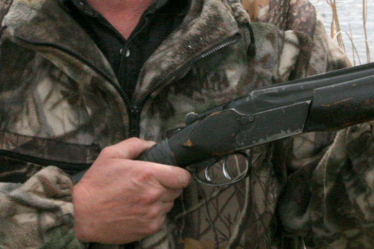В Новосибирске охранники «Быстронома» открыли стрельбу по птицам