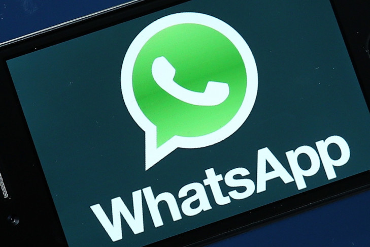 Альтернативу WhatsApp, созданную в Новосибирске, назвали «Куку-Ау»