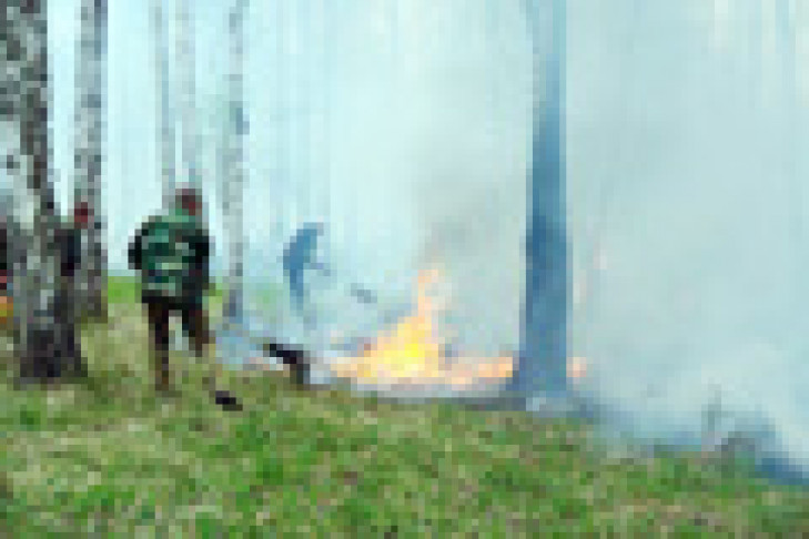 В области тушат лесные пожары