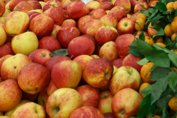 В Новосибирске уничтожили полтонны «санкционных» яблок, груш и киви