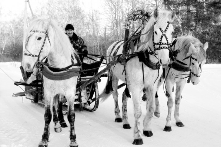 Снег, лошади и праздник