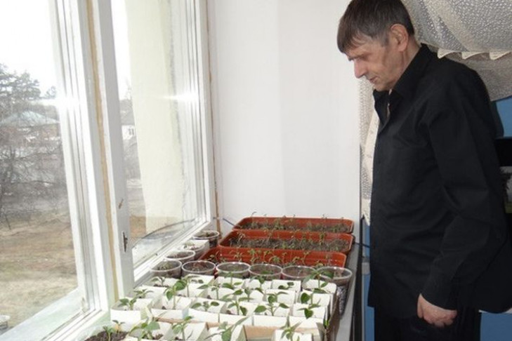 Новосибирских бомжей придумали лечить любовью к растениям